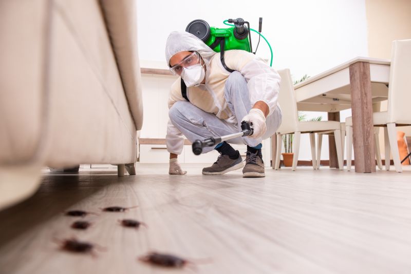 How Routine Pest Control Helps Prevent Major Infestations