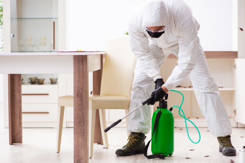Effective Pest Removal
